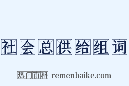 社会总供给组词是什么意思的图片